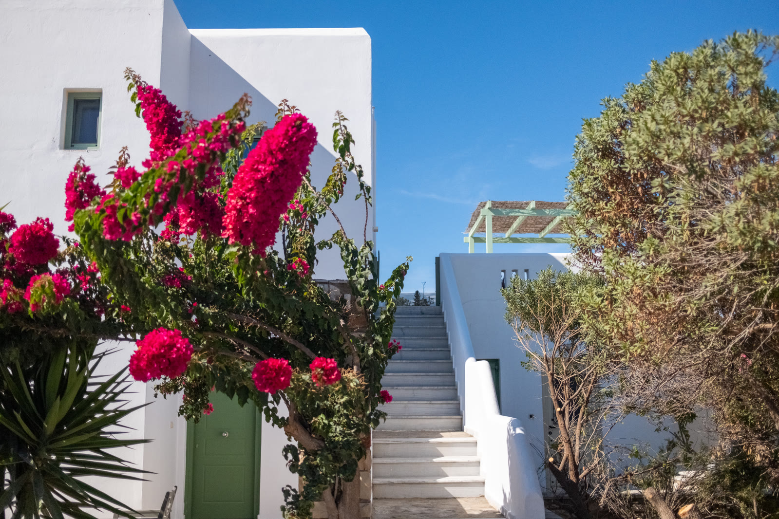 The private outdoor staircase to May Lola beside flowering bougainvillea