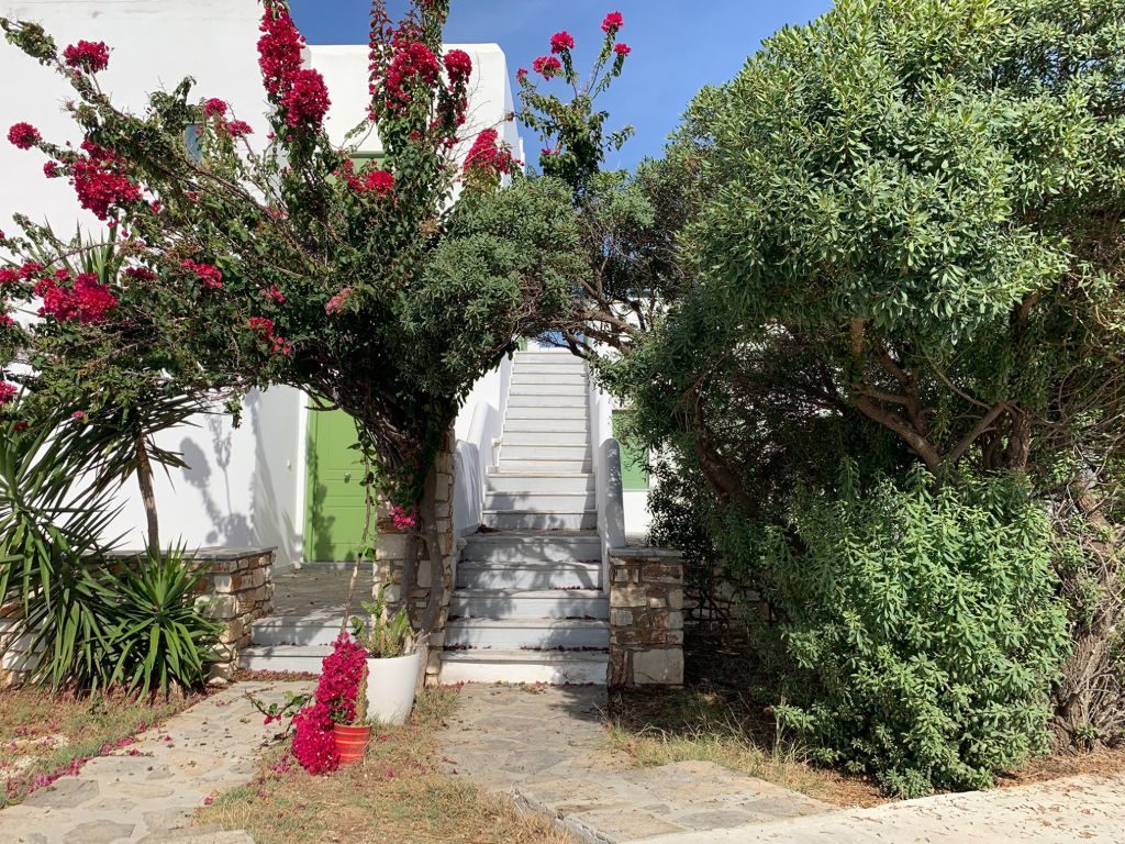 The stone staircase up to the apartment, framed by bougainvillea in flower